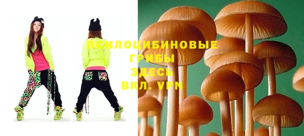 mdpv Баксан
