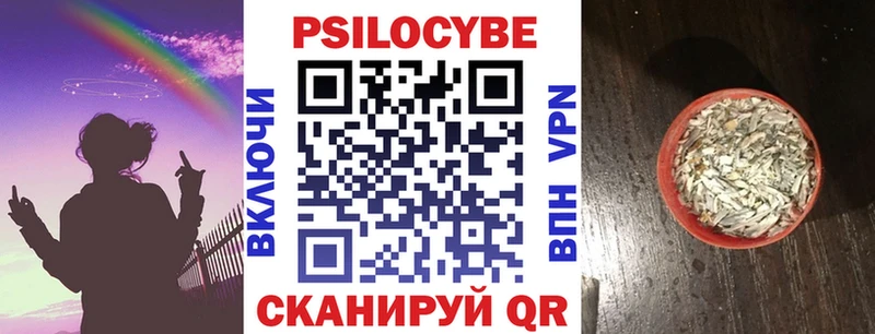 как найти закладки  Конаково  Псилоцибиновые грибы Cubensis 